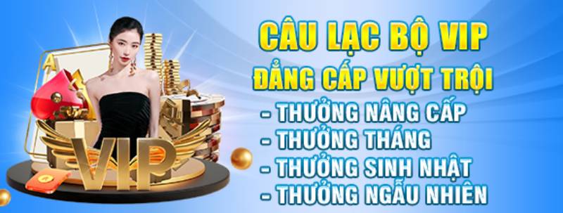 Đặc quyền dành riêng cho hội viên VIP